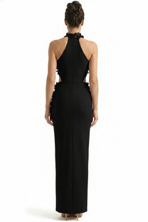 Priscille Halter Maxi Dress With 3D Floral Appliqué - Black