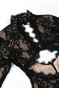 Scarlett Sheer Lace Gown With High Neck And Cutout Bodice And Front Slit - Black