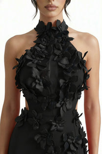 Priscille Halter Maxi Dress With 3D Floral Appliqué - Black