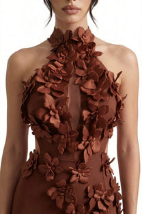 Priscille Halter Maxi Dress With 3D Floral Appliqué - Brown