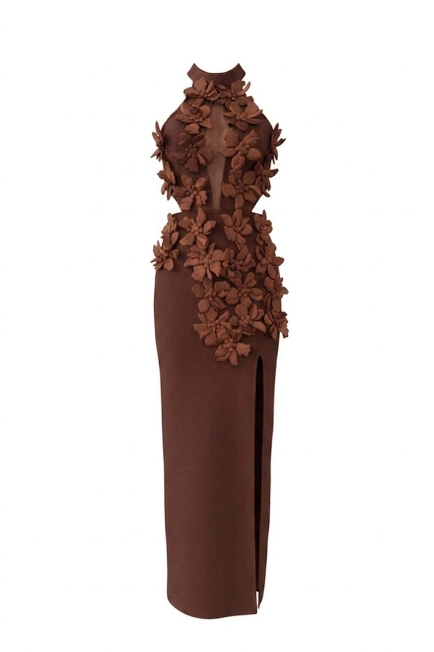 Priscille Halter Maxi Dress With 3D Floral Appliqué - Brown