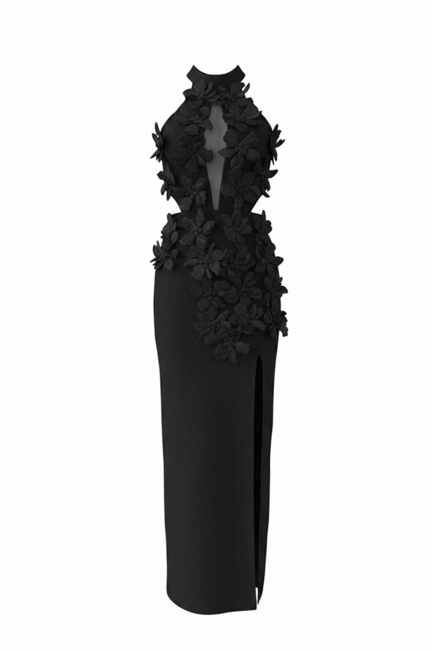 Priscille Halter Maxi Dress With 3D Floral Appliqué - Black