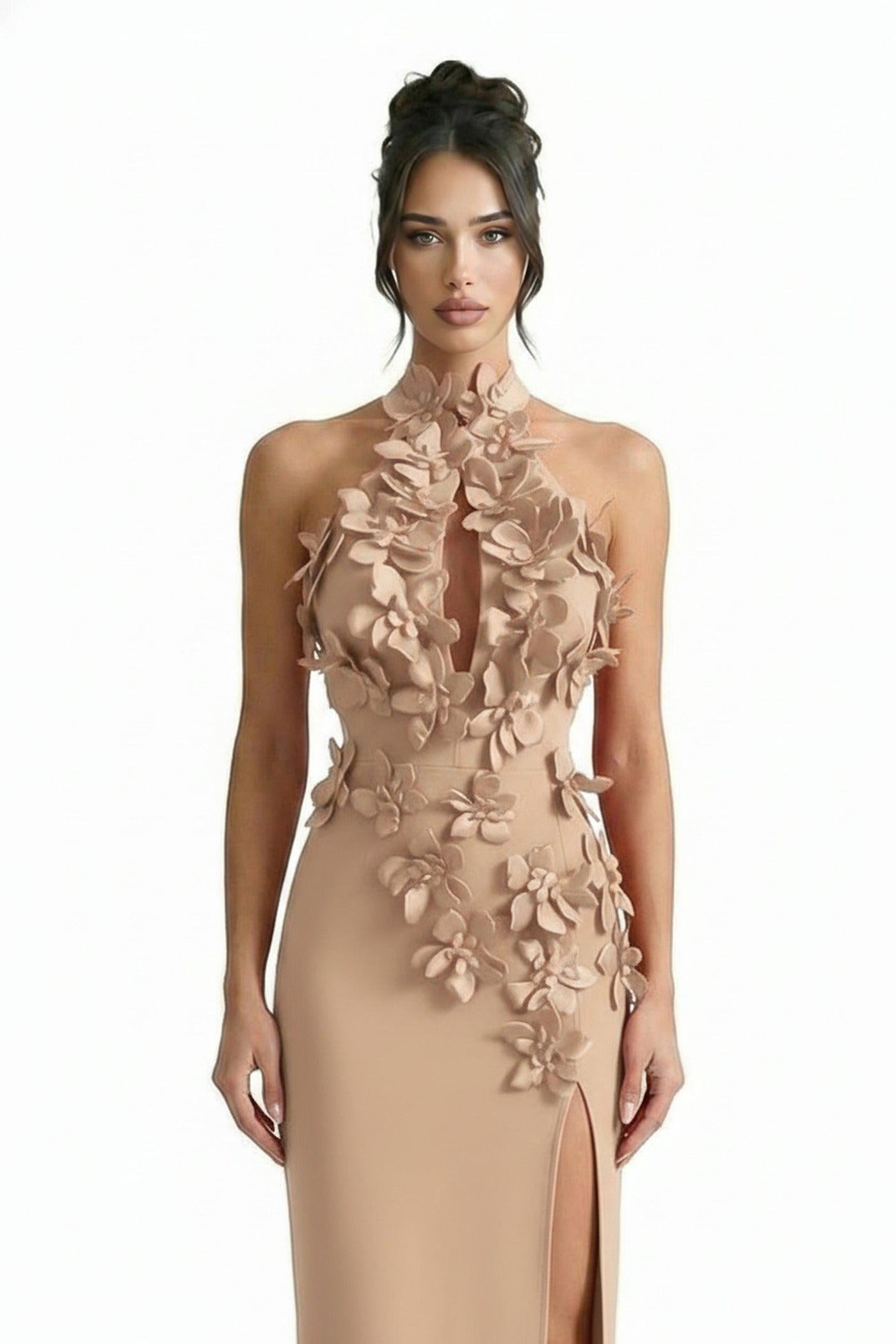 Priscille Halter Maxi Dress With 3D Floral Appliqué - Beige