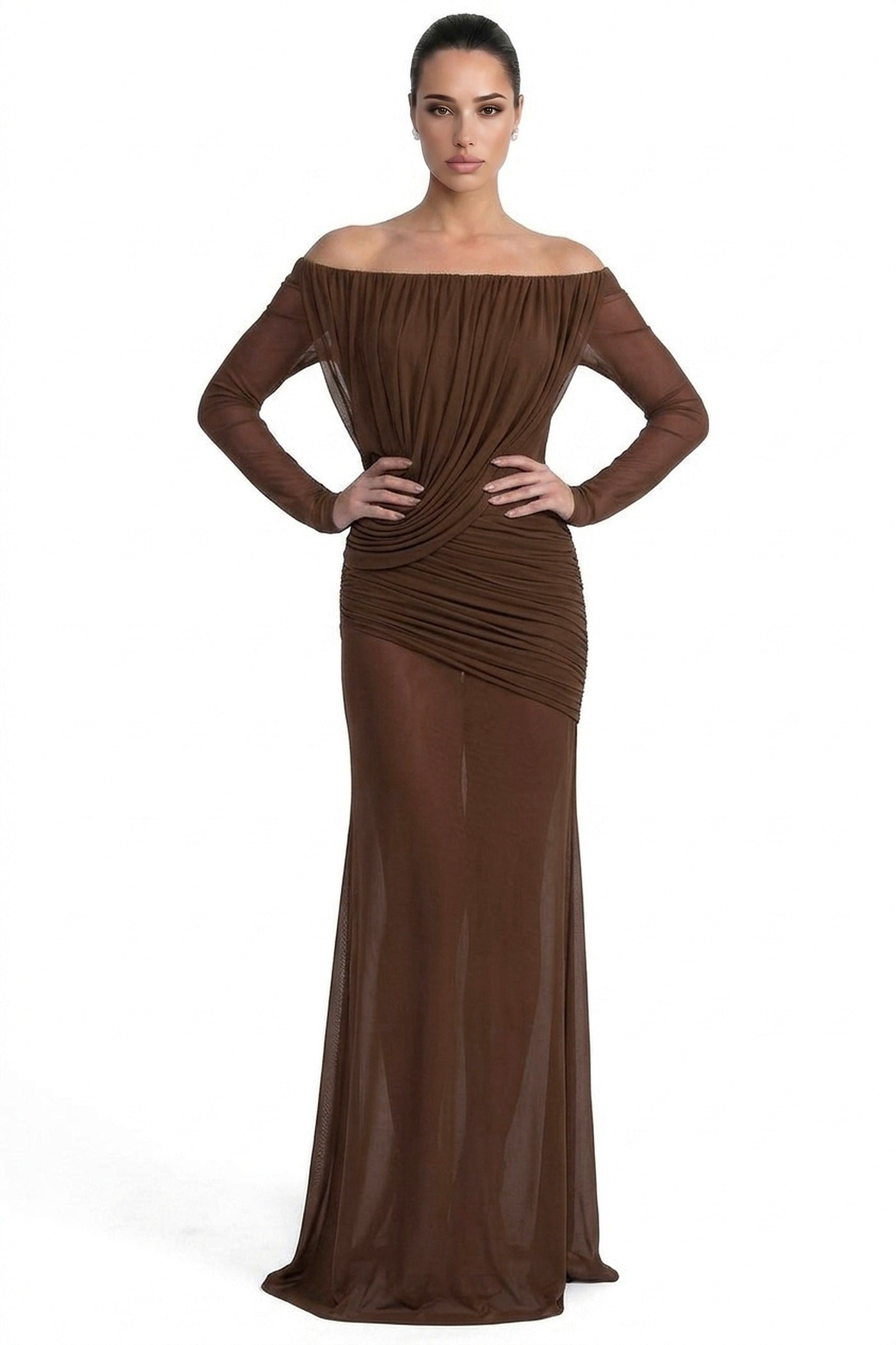Eléonore Off-Shoulder Mesh Gown With Draped Long Sleeves - Coffee