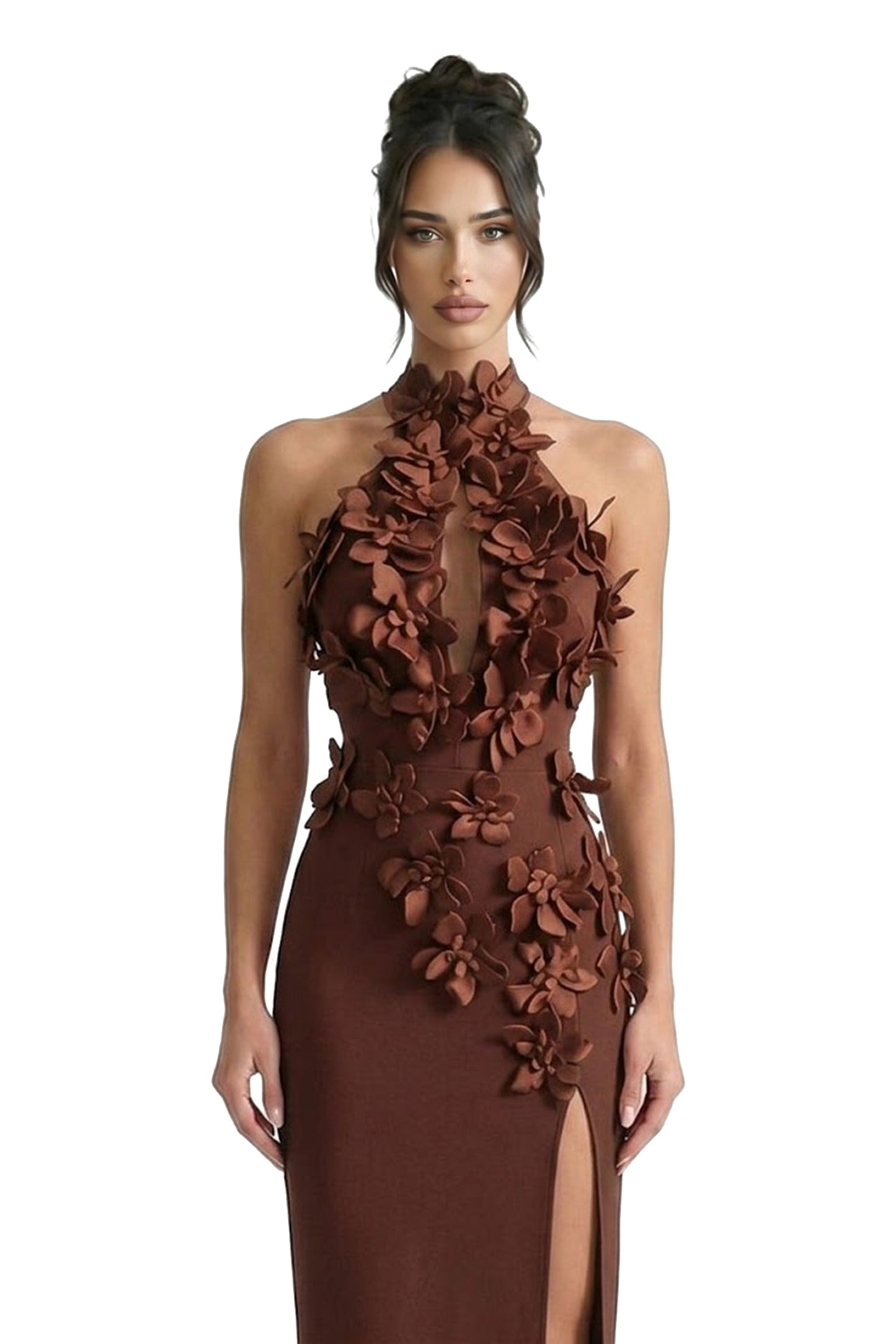 Priscille Halter Maxi Dress With 3D Floral Appliqué - Brown