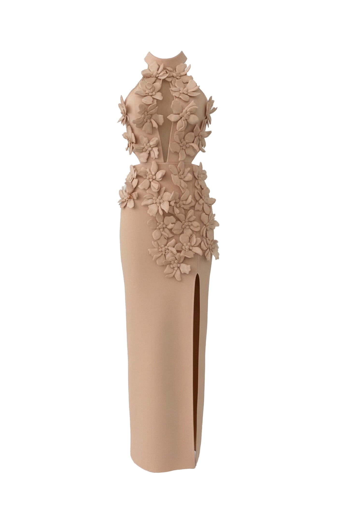Priscille Halter Maxi Dress With 3D Floral Appliqué - Beige